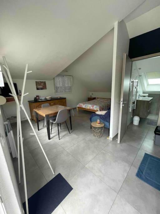 Studio Tout Equipe Aux Pieds Des Vosges Leimbach Eksteriør billede