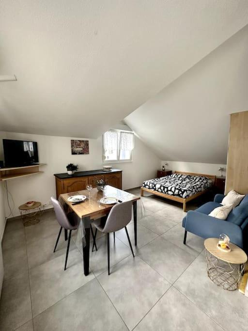 Studio Tout Equipe Aux Pieds Des Vosges Leimbach Eksteriør billede